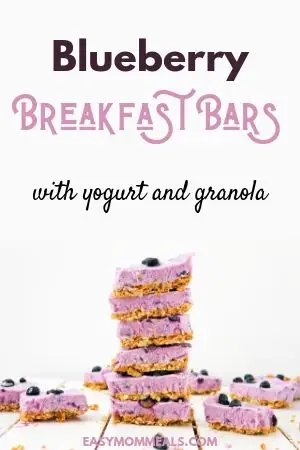 Blueberry breakfast bar