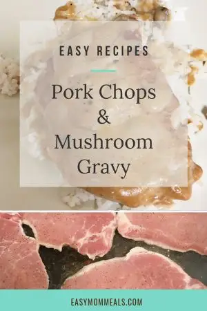 pork chops and gravy recipe