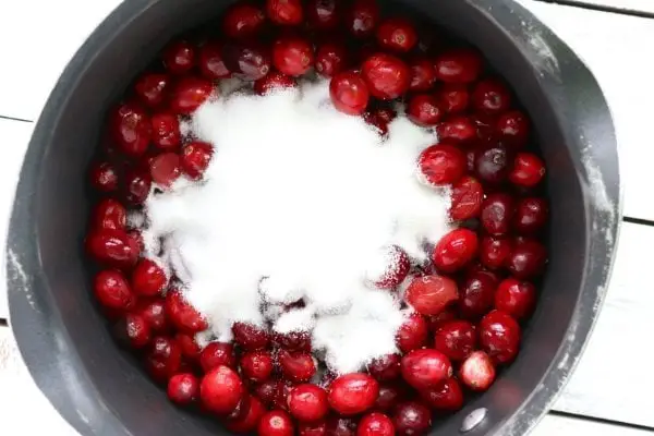 fresh cranberry dessert