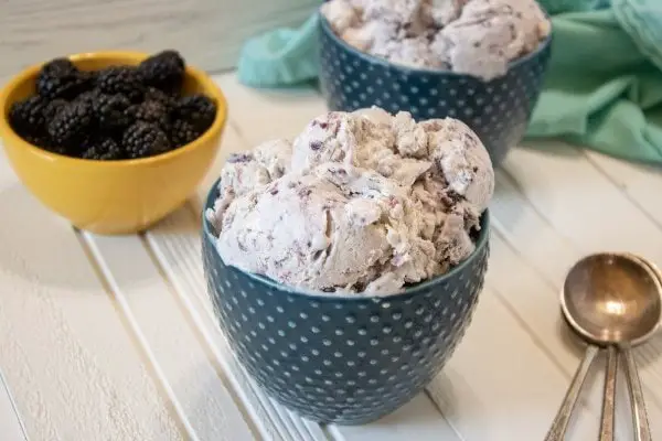 blackberry ice cream recipe