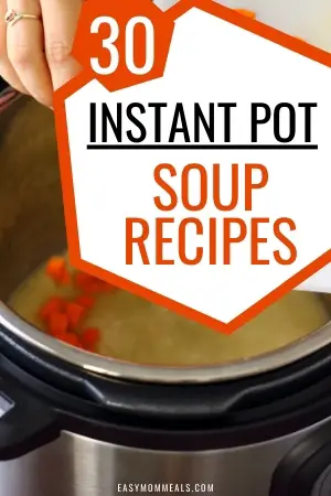 pressure cooker soup recipes