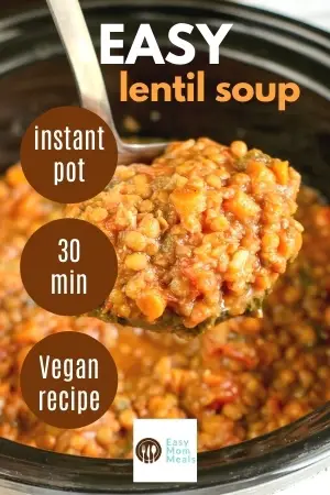 easy lential soup recipe - vegan