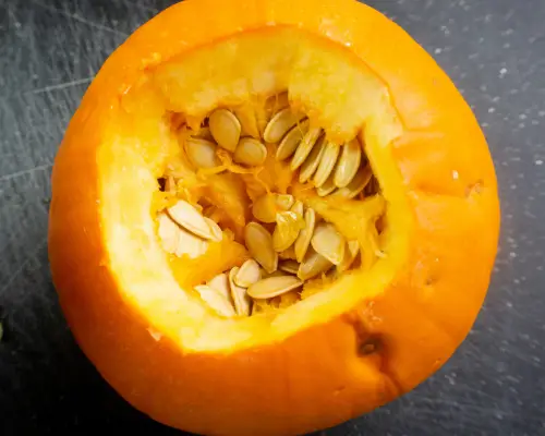 pumpkin with top removed