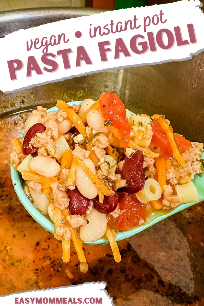 spoonful of vegan pasta fagioli soup