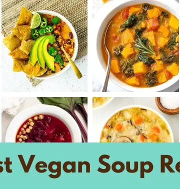collage of vegan soups
